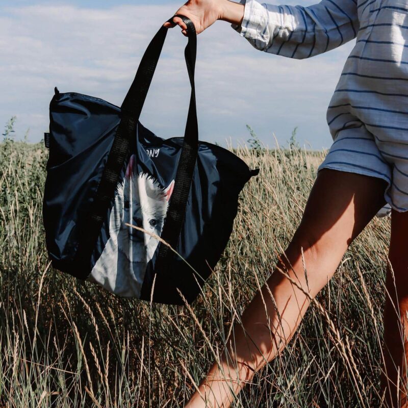 299308987_385370517055873_8567367836215795758_n-1.jpg 299308987_385370517055873_8567367836215795758_n-1.jpg