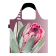 SB045PinkProtea_1024x1024@2x.webp